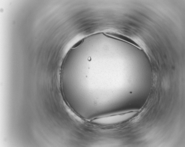 X0000088621151200706221449