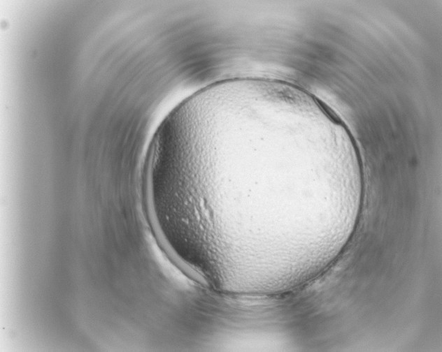 X0000088621152200706221449