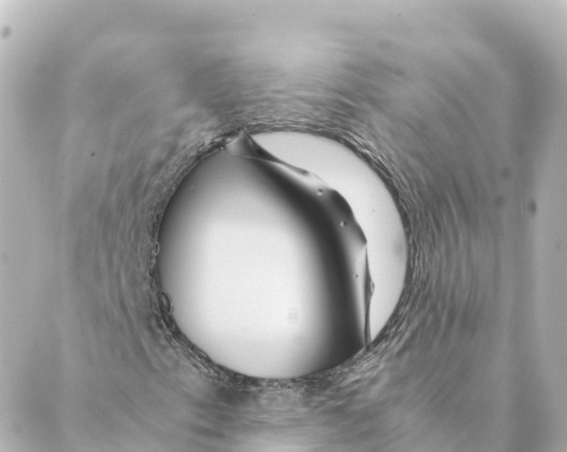 X0000088621153200706221448