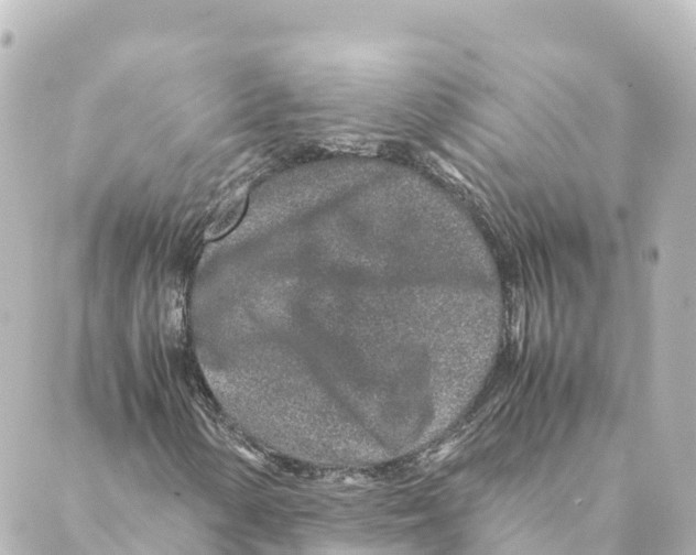 X0000088621154200706221448