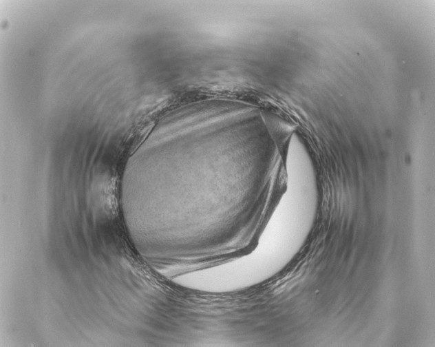 X0000088621156200706221448