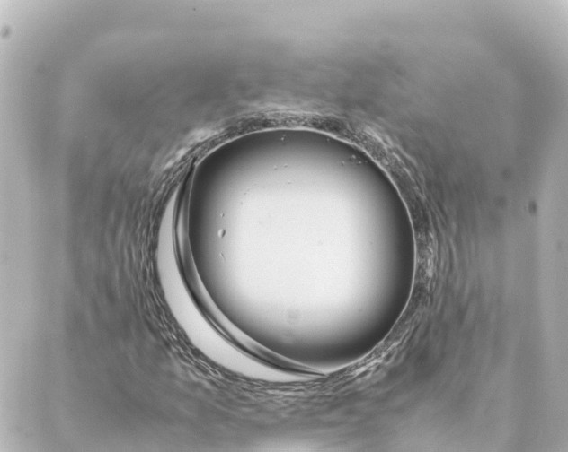 X0000088621157200706221448