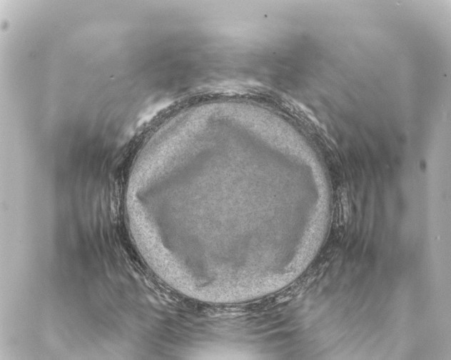 X0000088621158200706221448