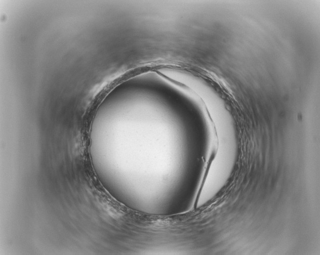 X0000088621160200706221448