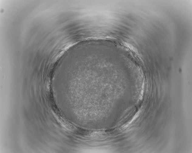 X0000088621161200706221448