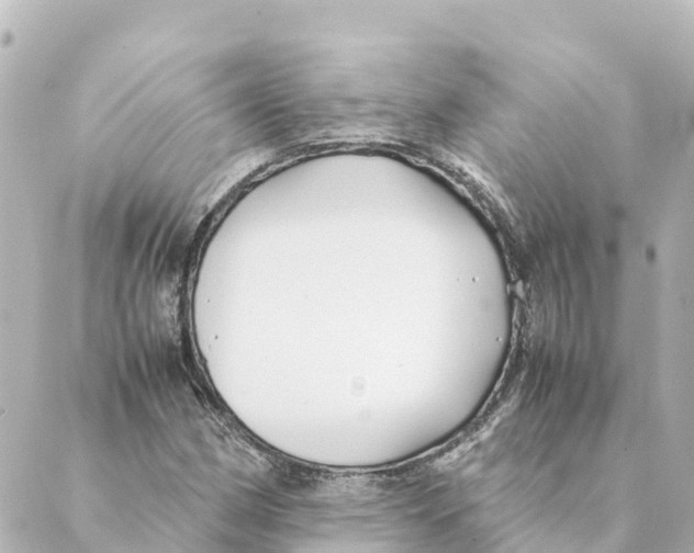 X0000088621162200706221448