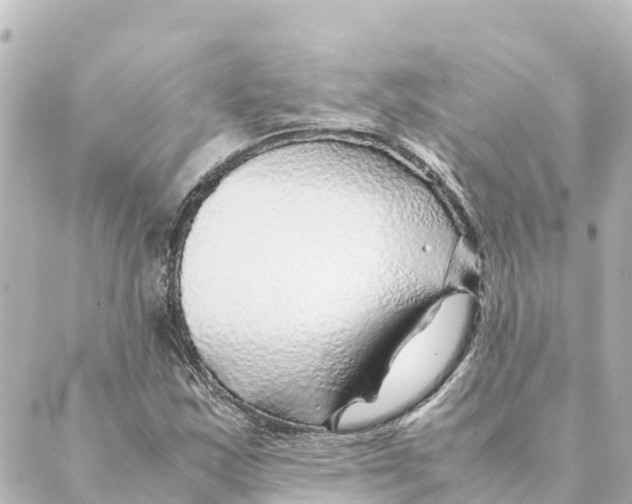 X0000088621163200706221448