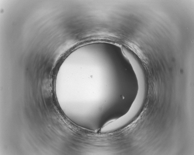 X0000088621164200706221448