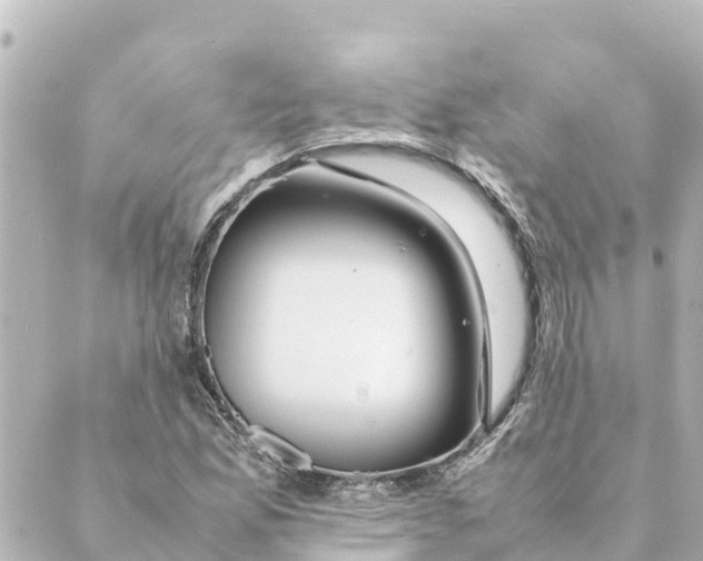 X0000088621165200706221448