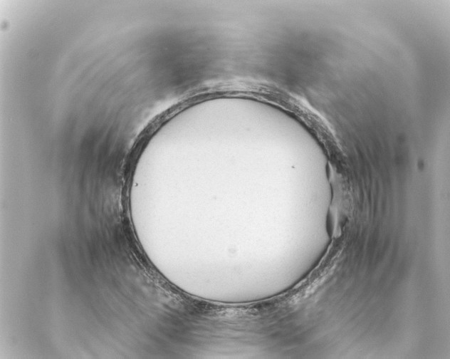 X0000088621166200706221448