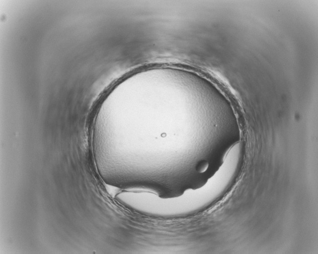 X0000088621167200706221448