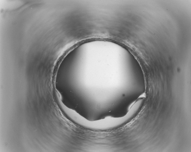 X0000088621168200706221448