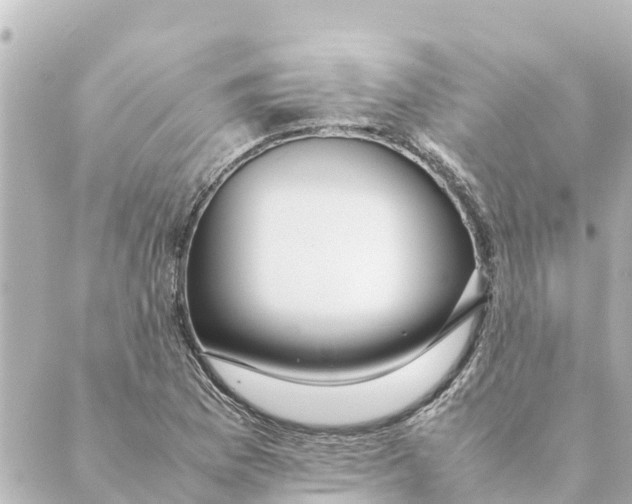 X0000088621169200706221448