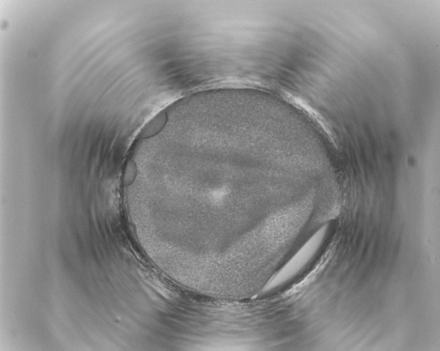 X0000088621170200706221448