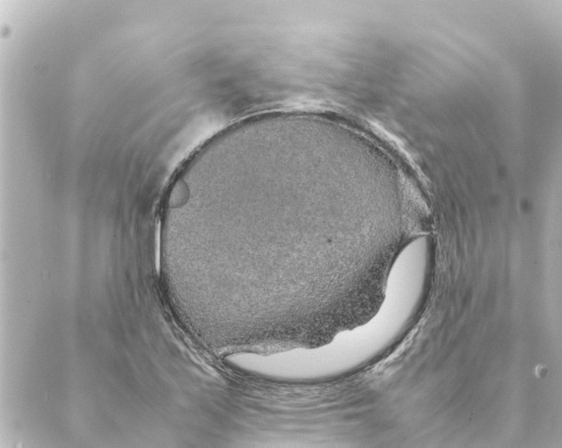 X0000088621171200706221448