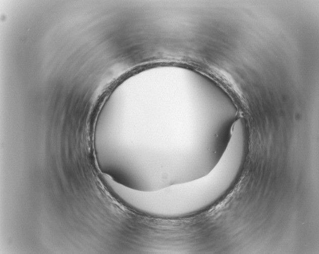 X0000088621172200706221448