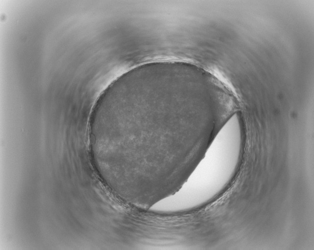 X0000088621173200706221448