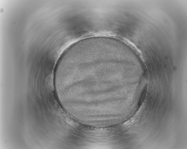 X0000088621174200706221448