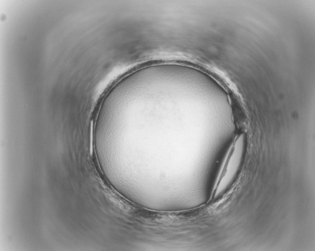 X0000088621175200706221448