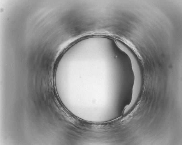 X0000088621176200706221448