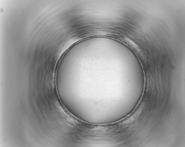 X0000088621178200706221448