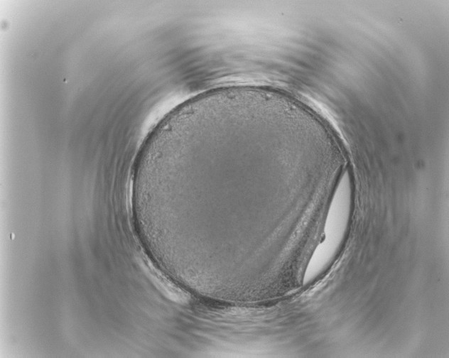 X0000088621179200706221448