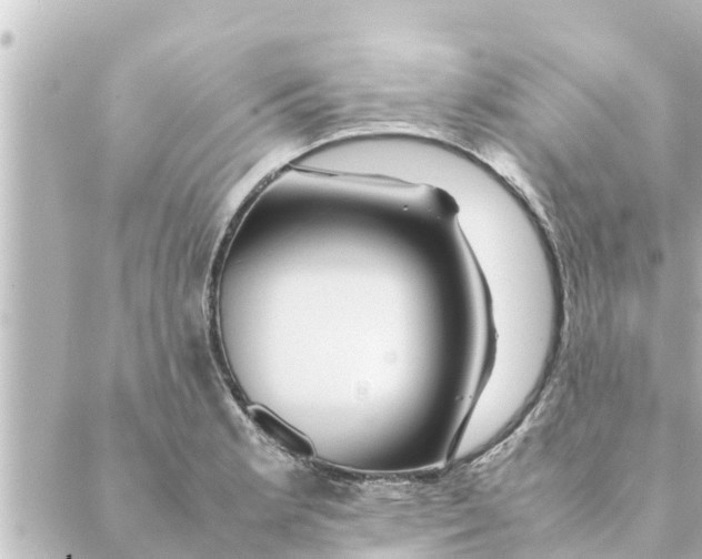 X0000088621181200706221448