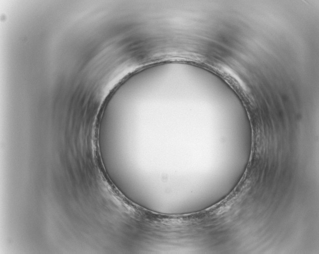 X0000088621182200706221448