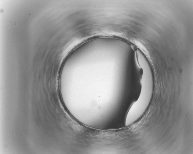 X0000088621183200706221448