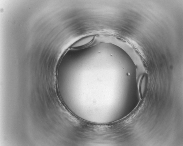 X0000088621184200706221448