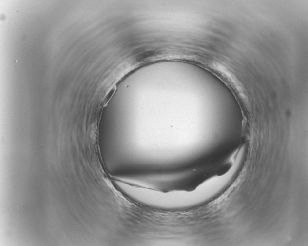 X0000088621185200706221448