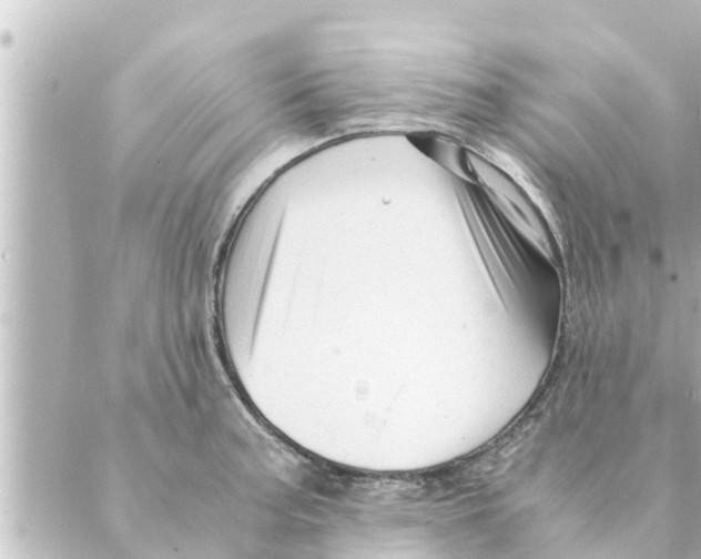 X0000088621187200706221448