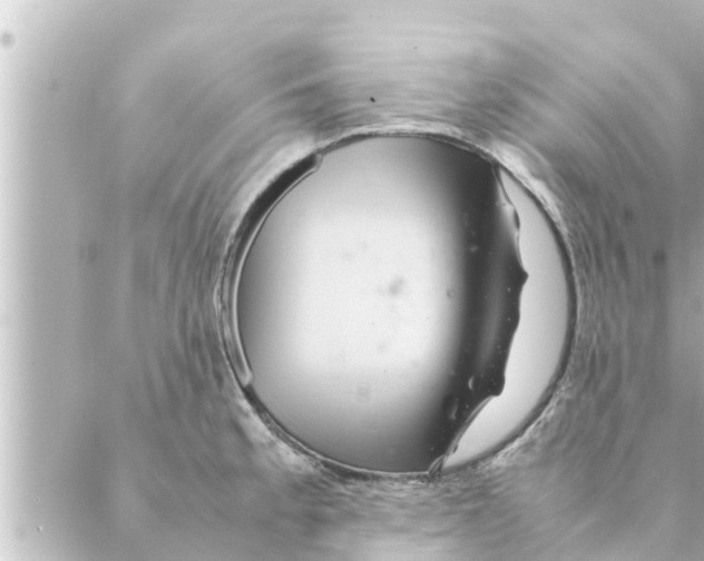 X0000088621189200706221448