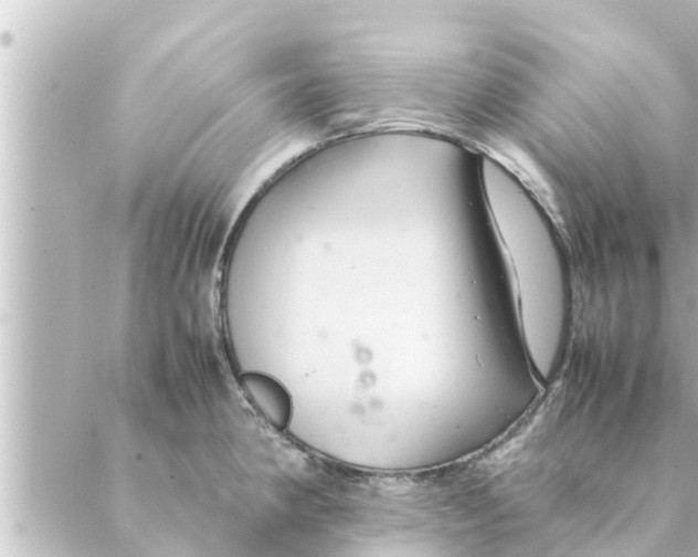 X0000088621190200706221448