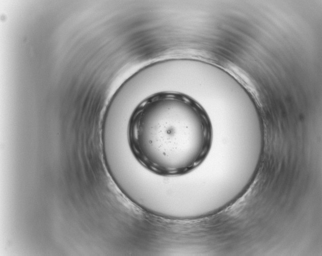 X0000088621192200706221448