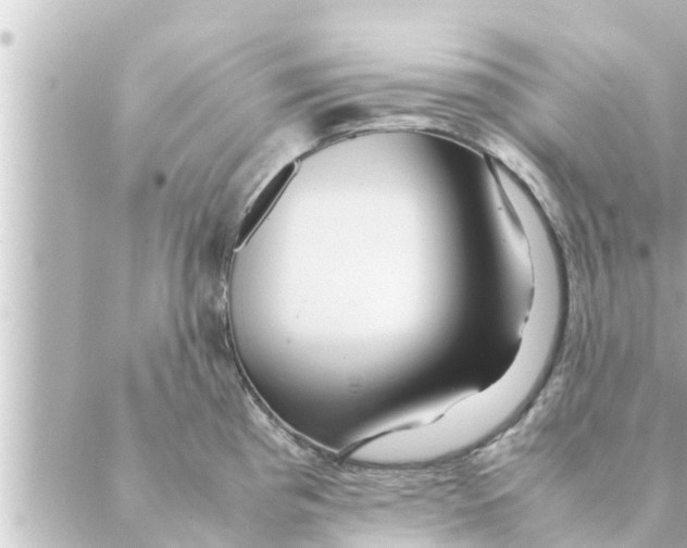 X0000088621193200706221448