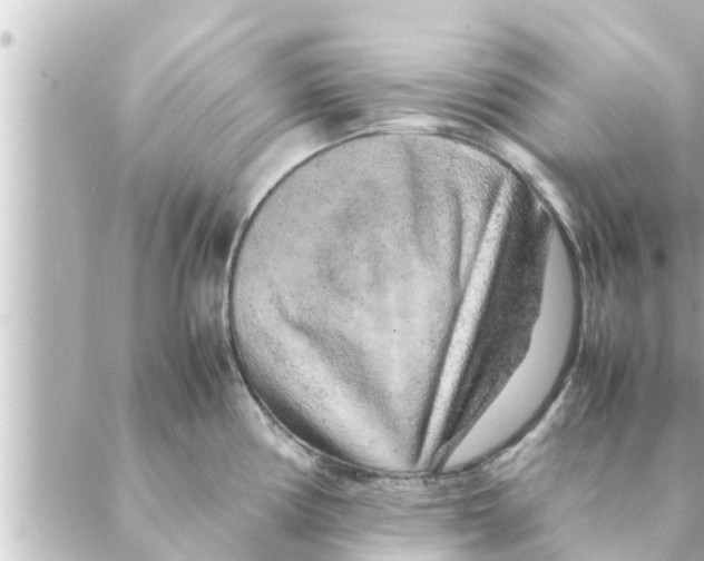 X0000088621194200706221448