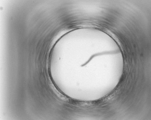 X0000088621195200706221448