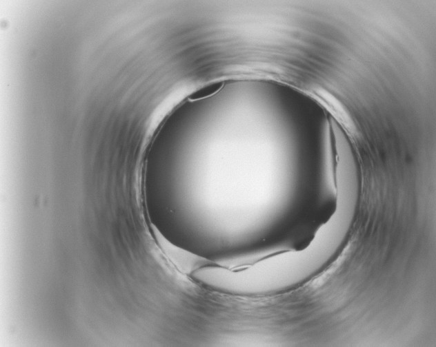 X0000088621196200706221448