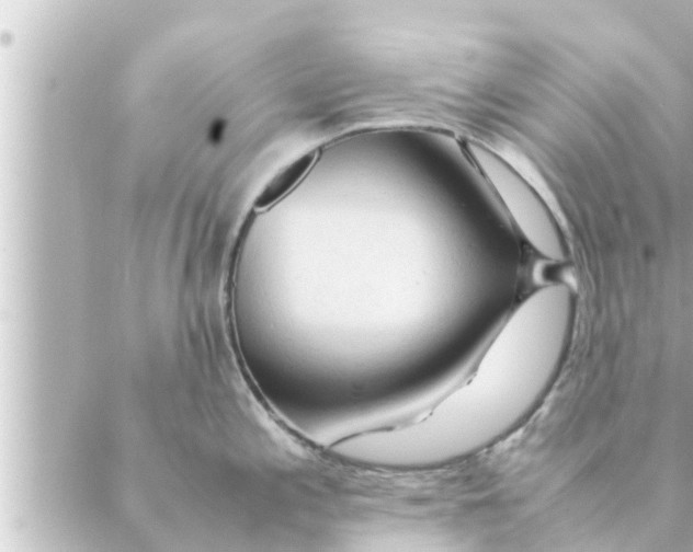 X0000088621197200706221448