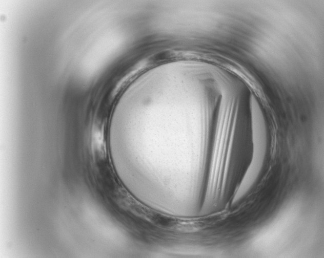 X0000088621198200706221448