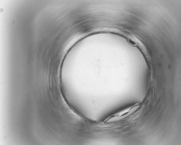 X0000088621199200706221448