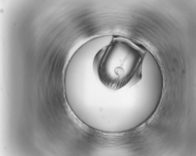 X0000088621200200706221448