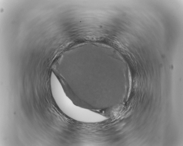 X0000088621202200706221447