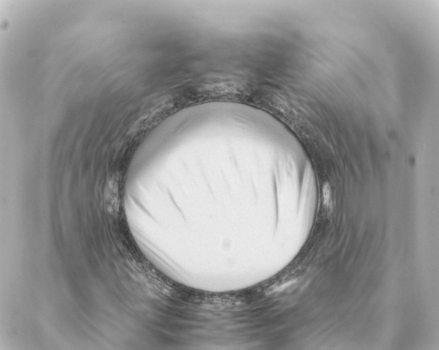 X0000088621203200706221447