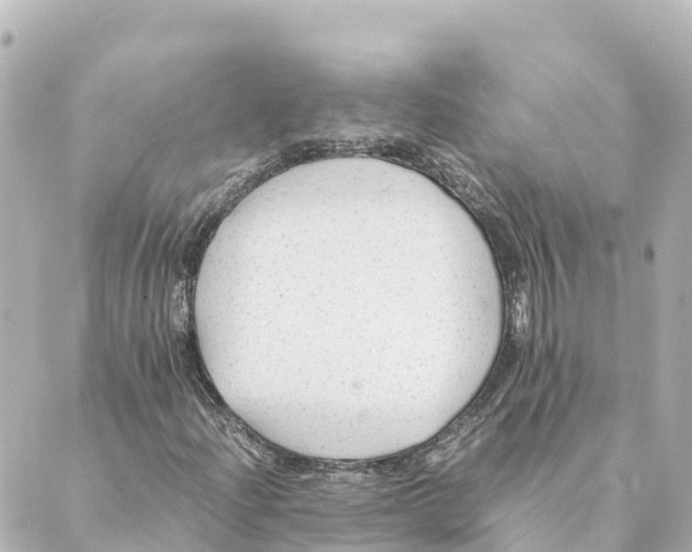 X0000088621204200706221447