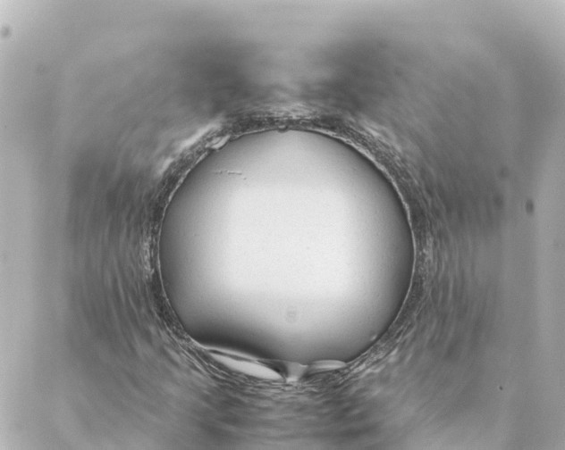 X0000088621205200706221447