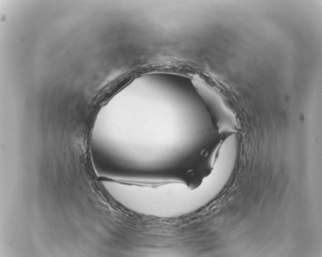 X0000088621206200706221447