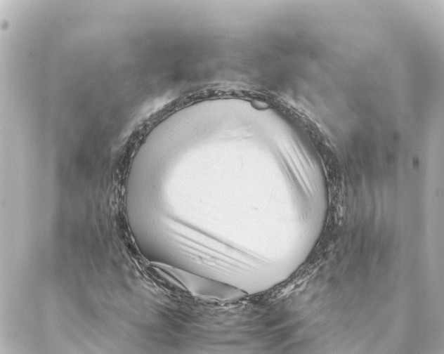 X0000088621207200706221447