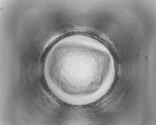 X0000088621208200706221447